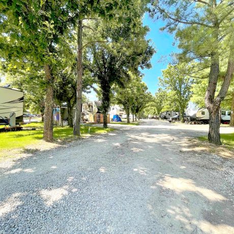 parked rvs in grassy area with trees